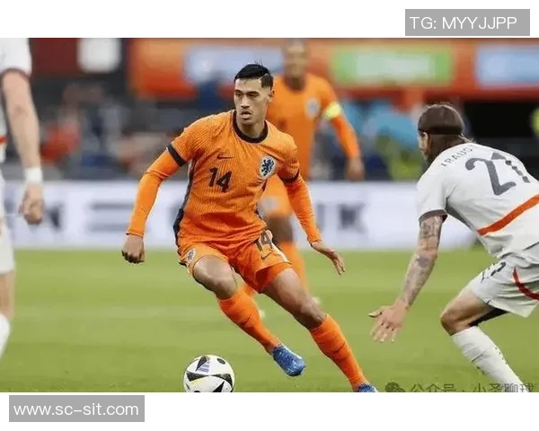 老外眼中的武汉足球明星魅力与实力的深度解析与评价